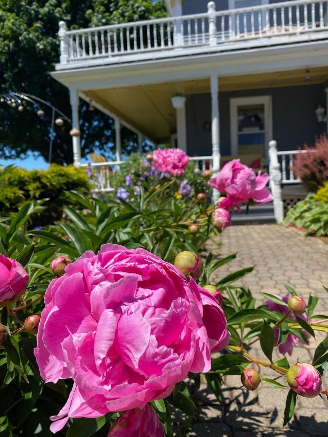 Toba'S Bed & Breakfast Lunenburg Exteriör bild
