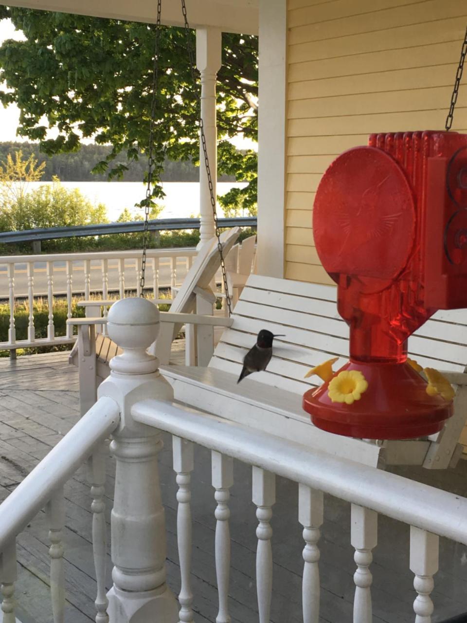 Toba'S Bed & Breakfast Lunenburg Exteriör bild